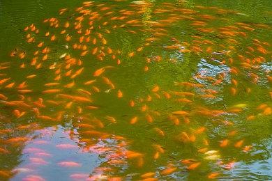 及格以上 《任天堂Switch运动》媒体评分汇总